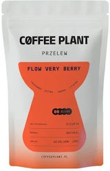 Coffee Plant Φίλτρου Flow Very Berry σε Κόκκους 100gr