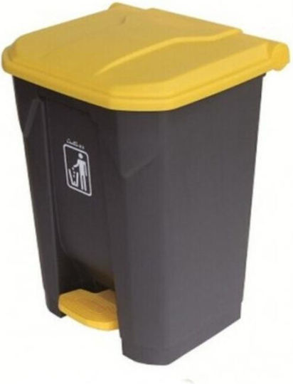 Limpio Coș De Gunoi Din Plastic Cu Pedală Gri 30lt