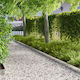 vidaXL Garden Hedge in Silver Colour 1m x 15cm ...