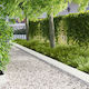 vidaXL Metallic Garden Hedge in White Colour 20...