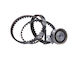 Timing Kit Gürtel + Rolle Contitech Ct 874 K1