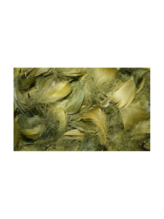 Decorative Feathers 1 Pc Olive