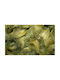 Decorative Feathers 1 Pc Olive