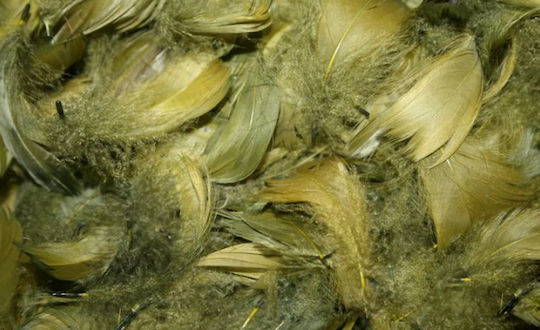Decorative Feathers 1 Pc Olive