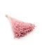 Dried Len Light Pink
