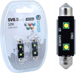 2x Birne C5w C10w 41mm Vision Festoon 12v Retrofit Canbus 2x Birne C5w C10w 41mm Vision Festoon 12v Retrofit Canbus