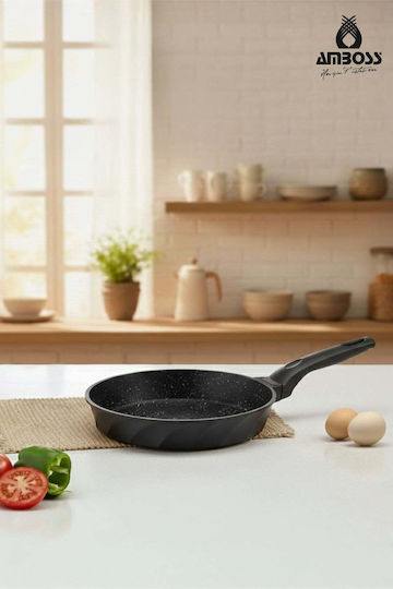 SteweHome Тиган от Чугун с Керамично Покритие 26cm