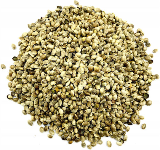 Cannabis-Samen Cannabis-Samen 500g Natur Shop