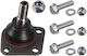Front Control Arm Ball Joint Febi Bilstein Fe107853