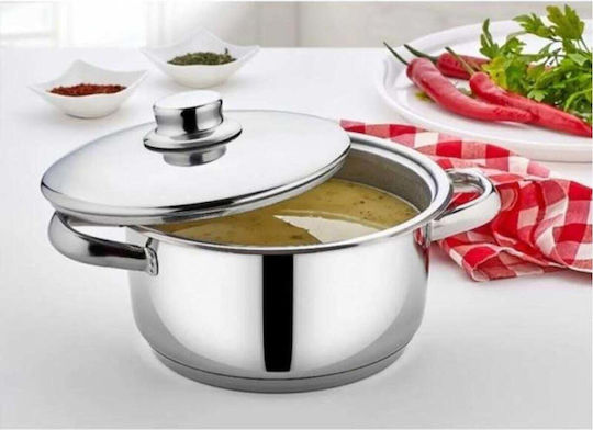 SteweHome Deep Stainless Steel Pot