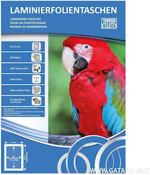 Gataric Laminierfolien A4 100 Mikron Gataric Laminierfolien A4 100 Mikron