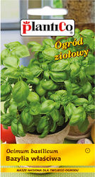 Plantico Sweet Basil