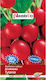 Plantico Tytania Radish