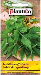 Plantico Garden Lovage