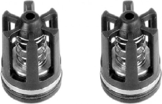 Set Supape 2 Bucăți Karcher 2.884-903.0