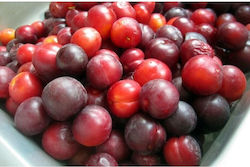 Domestic Plums (1 Container / 1kg)