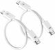Lemorele P100 Image Accessories