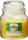 Citronella Εντομοαπωθητικό Κερί για Κουνούπια