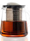 O Dromos tou Tsagiou Tea Control Teapot with Filter Glass Transparent 800ml