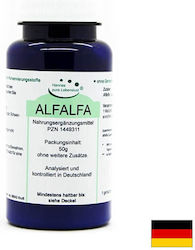 El Compra Алфа Алфа на Прах 50гр