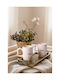 SteweHome Ceramic Beige Mug 310ml 2 Pieces