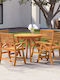 Set Sala De Mese Pentru Exterior 5 Piese Maro