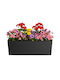 HowHomely Kunststoff Blumentopf Schwarz 56x19cm