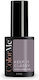 Веган Полутраен Лак За Нокти Без Хема Оттенък Keep It Classy Colorme Cosmetics 10 Мл