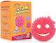 Küchenschwämme Scrub Daddy Scrub Mommy Formen 4 Stück Rosa Lila