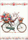 Greeting Card Blank Fantasy Cat Bicycle