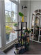 SteweHome Wooden Black Plant Stand Shelf 22.5x20x115cm