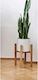 SteweHome Pflanzenständer aus Holz Braune 24cm