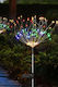 SteweHome Solar Light