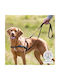Обучителен нагръдник за куче Trixie Lead 'n ' Walk Basic XL