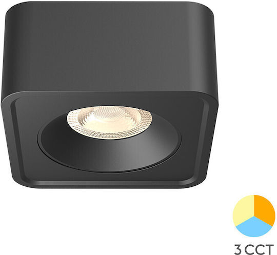 Braytron Decken- und Wandleuchten mit 10 Spots in Schwarz Farbe