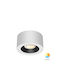 Braytron Spot with 10 Lights in White Colour
