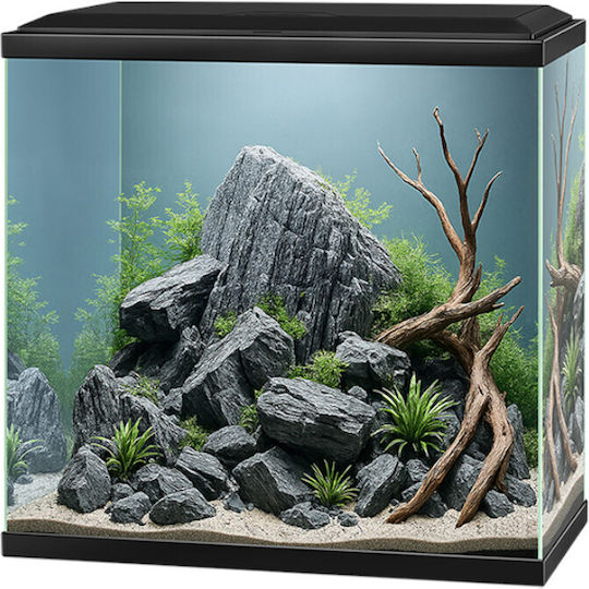 Ciano Fish Aquarium 25lt Capacity with Lighting, Filter 40x20x40cm Turquoise