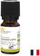 Palmarosa Ätherisches Öl Bio 10 Ml