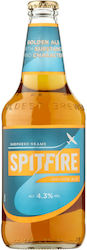 Shepherd Neame Ale Flasche 500ml