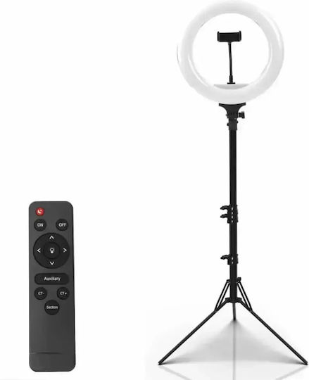 Andowl RGB Ring Light 32cm με Τρίποδο Δαπέδου