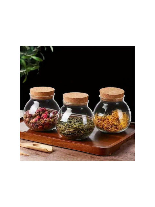 SteweHome Glass White Tea Coffee Vase with Cork and Stand