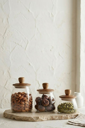 SteweHome Set of 3 Coffee Tea Jars with Wooden Transparent Lid 500ml