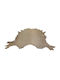 JGS S.A. Furniture Leather Soft Beige Cambridgmush 5 63m² Napa Cowhide