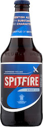 Shepherd Neame Ale Flasche 500ml
