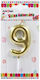 Birthday Candle Cake Number 9 Metallic Gold