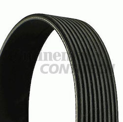 Contitech Zahnriemen für Autotriebwerk 9pk2295 Contitech Zahnriemen für Autotriebwerk 9pk2295
