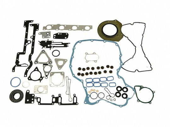 Satz Gürtel Für Ford Transit 06 Vollständig 2.4 Tdci Rwd 6 C1q Q60 8