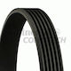 Contitech 6pk691 Ribbed Transmission Belt Elast
