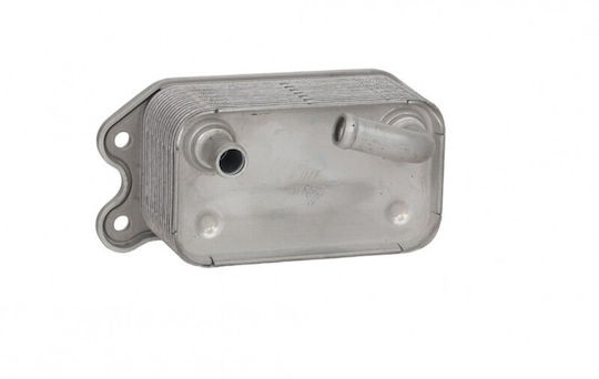 Fast Auto-Kühlschrank Motor Volvo V70 III 07 31201911