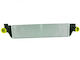 Intercooler Renault Master 10 144960015r